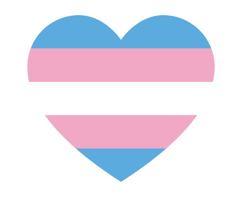 heart in transgender flag colors